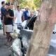 Ditantang Teman, ABG di Probolinggo Nekat Bawa Kabur Mobil Tetangga hingga Tabrak Pohon