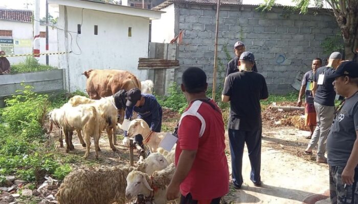 Perputaran Ekonomi Idul Adha di Probolinggo Tembus Rp25,3 Miliar