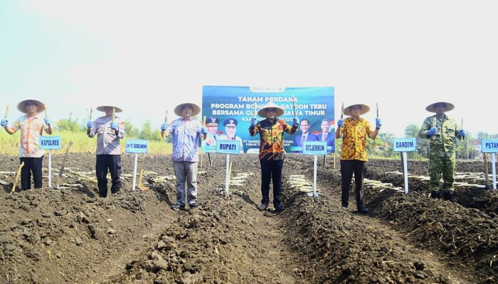 Bupati Haris Pimpin Tanam Perdana Program Bongkar Ratoon Tebu di Probolinggo