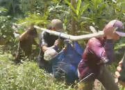 Warga Probolinggo Digegerkan Penemuan Kakek di Jurang Hutan Tiris
