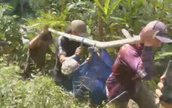 Warga Probolinggo Digegerkan Penemuan Kakek di Jurang Hutan Tiris