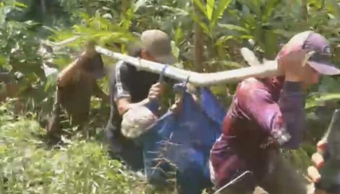 Warga Probolinggo Digegerkan Penemuan Kakek di Jurang Hutan Tiris
