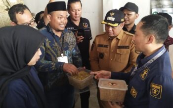 Tembakau Paiton VO Probolinggo Segera Berstatus Indikasi Geografis Jawa Timur