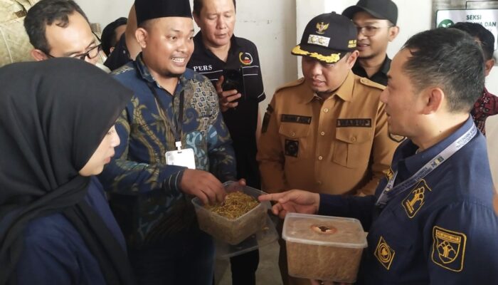 Tembakau Paiton VO Probolinggo Segera Berstatus Indikasi Geografis Jawa Timur