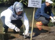 Tanam 500 Mangrove, Pemkab Probolinggo Perkuat Benteng Alami Pesisir