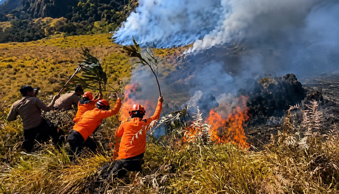Api Masih Merembet, Kebakaran di Kawasan Bromo Sudah Capai 7,9 Hektare