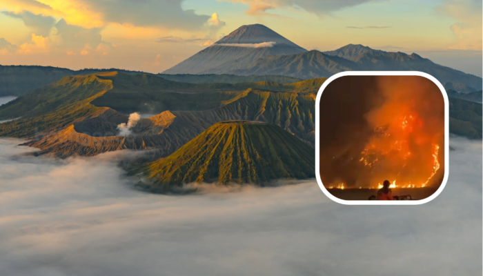 Kebakaran Mengganas, Seluruh Akses Wisata Bromo Ditutup Total