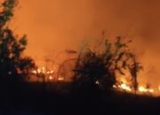 Kebakaran Hutan di Gunung Bromo, TNBTS Tutup Tiga Jalur Wisata