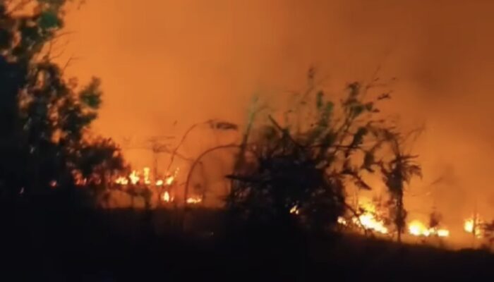 Kebakaran Hutan di Gunung Bromo, TNBTS Tutup Tiga Jalur Wisata