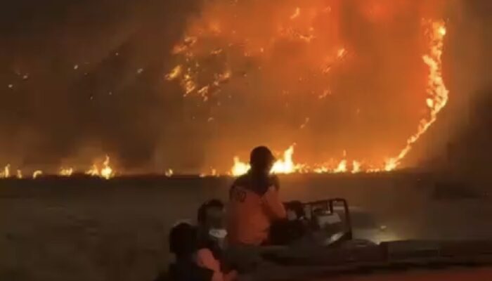 Kebakaran di Bromo Makin Mengganas, Kini Merembet ke Bukit B29