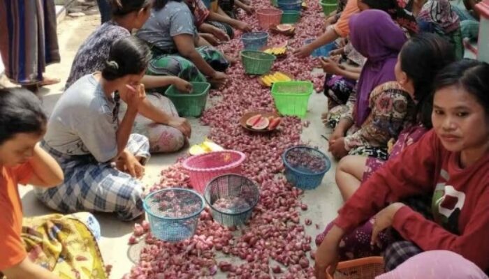 Bikin Kaget! Prabowo Ungkap Upah Kupas Bawang Rp700 Ribu per Kg