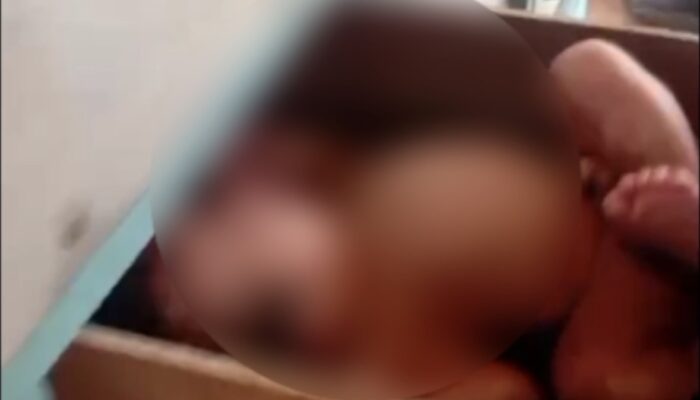 Miris! Bayi Baru Lahir di Probolinggo Dibuang dalam Laci Rombong Cilok
