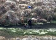 Viral! Dua Pemuda Mandi Pakai Sabun di Mata Air Qolbu Gunung Argopuro Tuai Kecaman