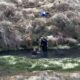 Viral! Dua Pemuda Mandi Pakai Sabun di Mata Air Qolbu Gunung Argopuro Tuai Kecaman