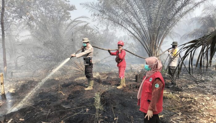 0,9 Hektare Karhutla Bengkalis Dipadamkan, Bara Gambut Masih Diwaspadai