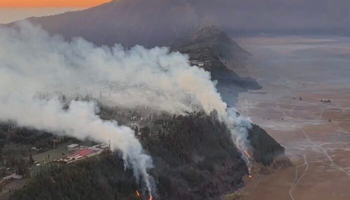 Kawasan Bromo Kembali Terbakar, Api Mengarah ke Jembatan Kaca