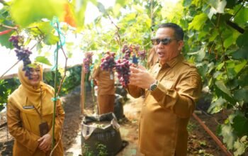 Wali Kota Aminuddin Ingin Kembalikan Anggur Sebagai Ikon Kota Probolinggo