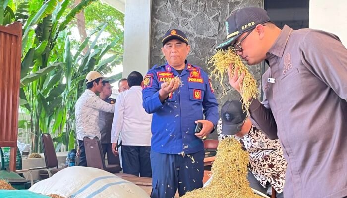 Harga Tembakau Capai Rp74 Ribu, DPRD Probolinggo Pantau Langsung Gudang