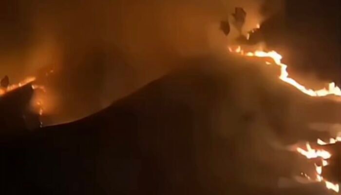 Kawasan Bromo Kembali Terbakar, Aktivitas Wisata di Savana Ditutup