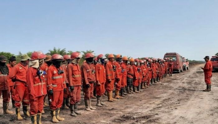 Hotspot Karhutla Kalbar Turun Signifikan, Kalteng Masih Tertinggi