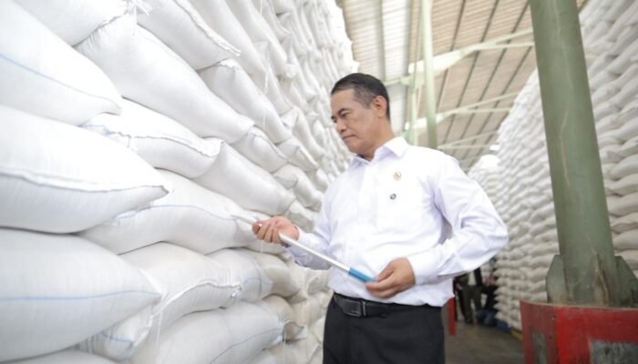 Produksi Beras Dunia Naik, Indonesia Andalkan Penguatan Produksi Dalam Negeri