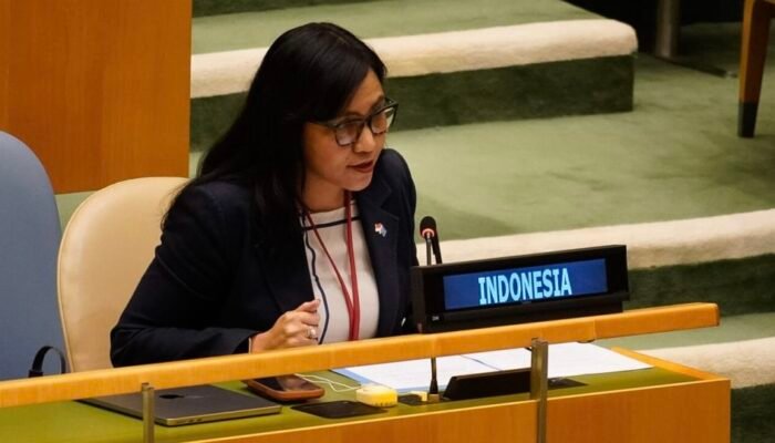 Dituding Langgar HAM di Papua, Indonesia Sampaikan Hak Jawab di PBB