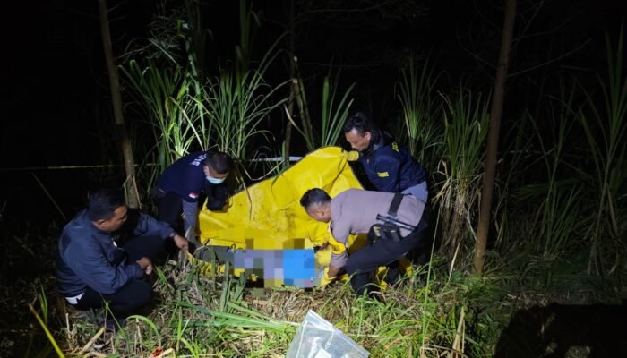 Ngarit ke Hutan, Warga Sumber Probolinggo Ditemukan Tak Bernyawa