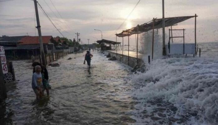 BMKG Peringatkan Gelombang Laut hingga 4 Meter, Banjir Rob Mengintai Sejumlah Wilayah