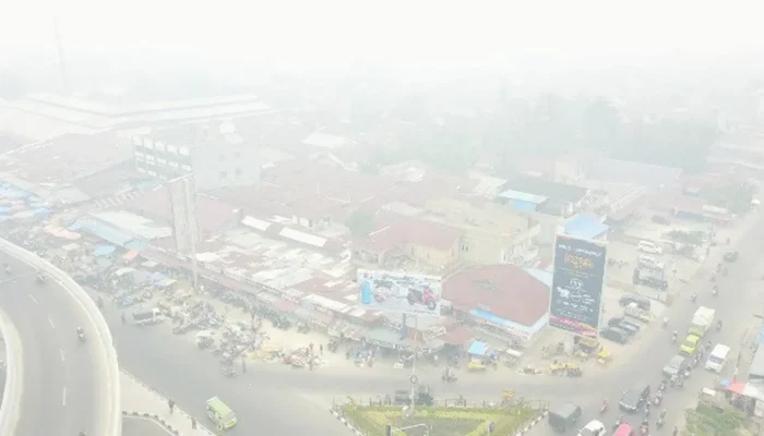 Asap Karhutla Makin Pekat, Pekanbaru Diselimuti Kabut hingga Ganggu Penerbangan