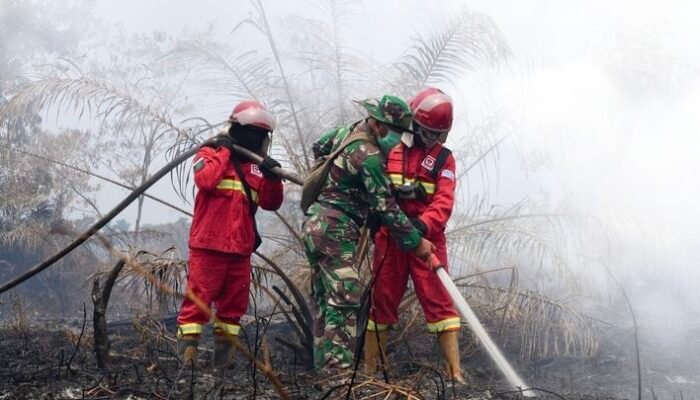 Karhutla Makin Disorot, 232 Orang dan 9 Korporasi Jadi Tersangka